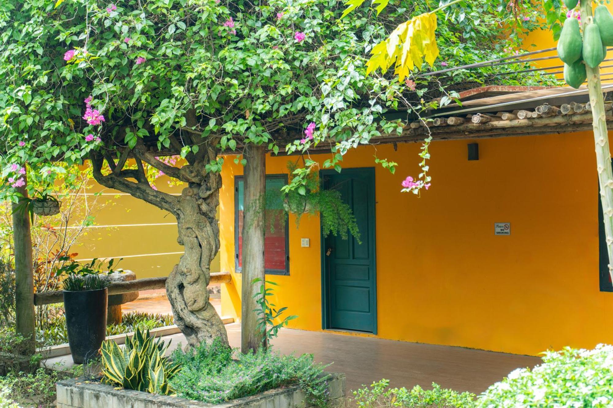 Greenfield Farmstay Vung Tau Ba Ria Exterior photo